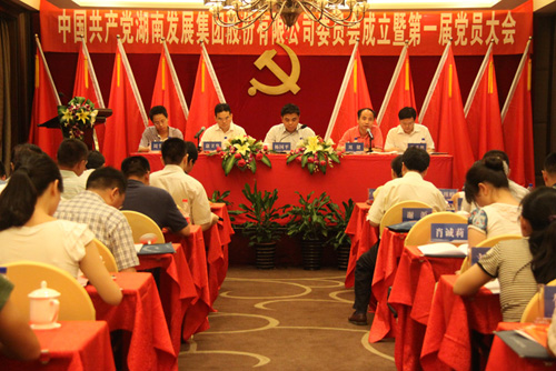 中共乐鱼平台-乐鱼（中国）一站式服务平台集团股份有限公司委员会成立大会暨公司第一届党员代表大会胜利召开