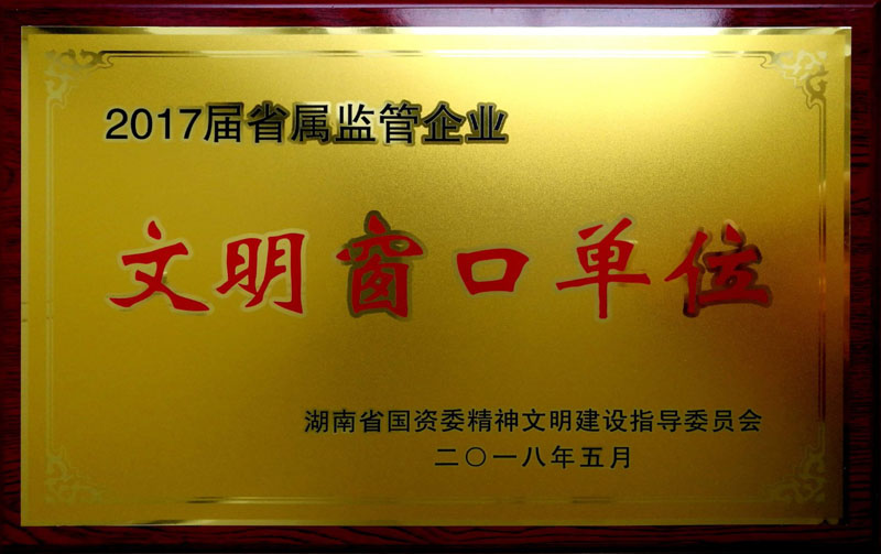 乐鱼平台-乐鱼（中国）一站式服务平台集团养老产业有限公司荣获“省属监管企业文明窗口单位”称号