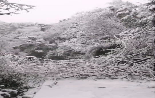 战暴雪、保供电！乐鱼平台-乐鱼（中国）一站式服务平台鸟儿巢公司应对极端天气紧急抢修失电故障
